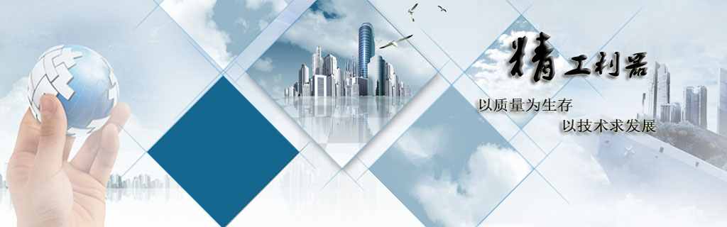 在此處插入徽標(biāo)